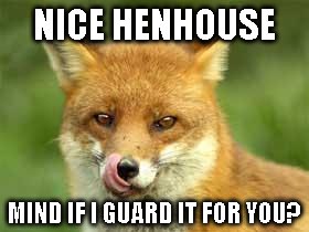 fox guarding henhouse meme