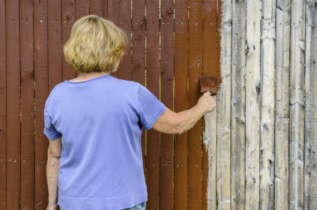 woman panting fence