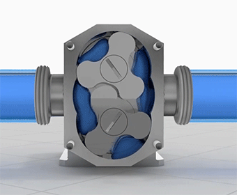 Rotary Lobe Pump