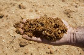 hand holding dirt